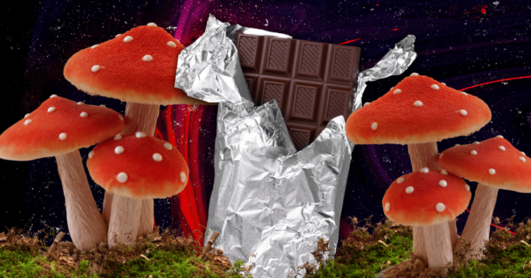 Enjoy the Magic with Our Shroom Chocolate Bar!